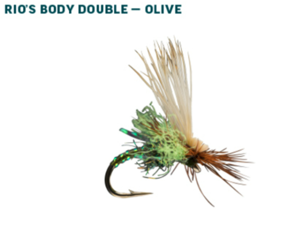 RIO Dry Fly Assortment Caddis Olive